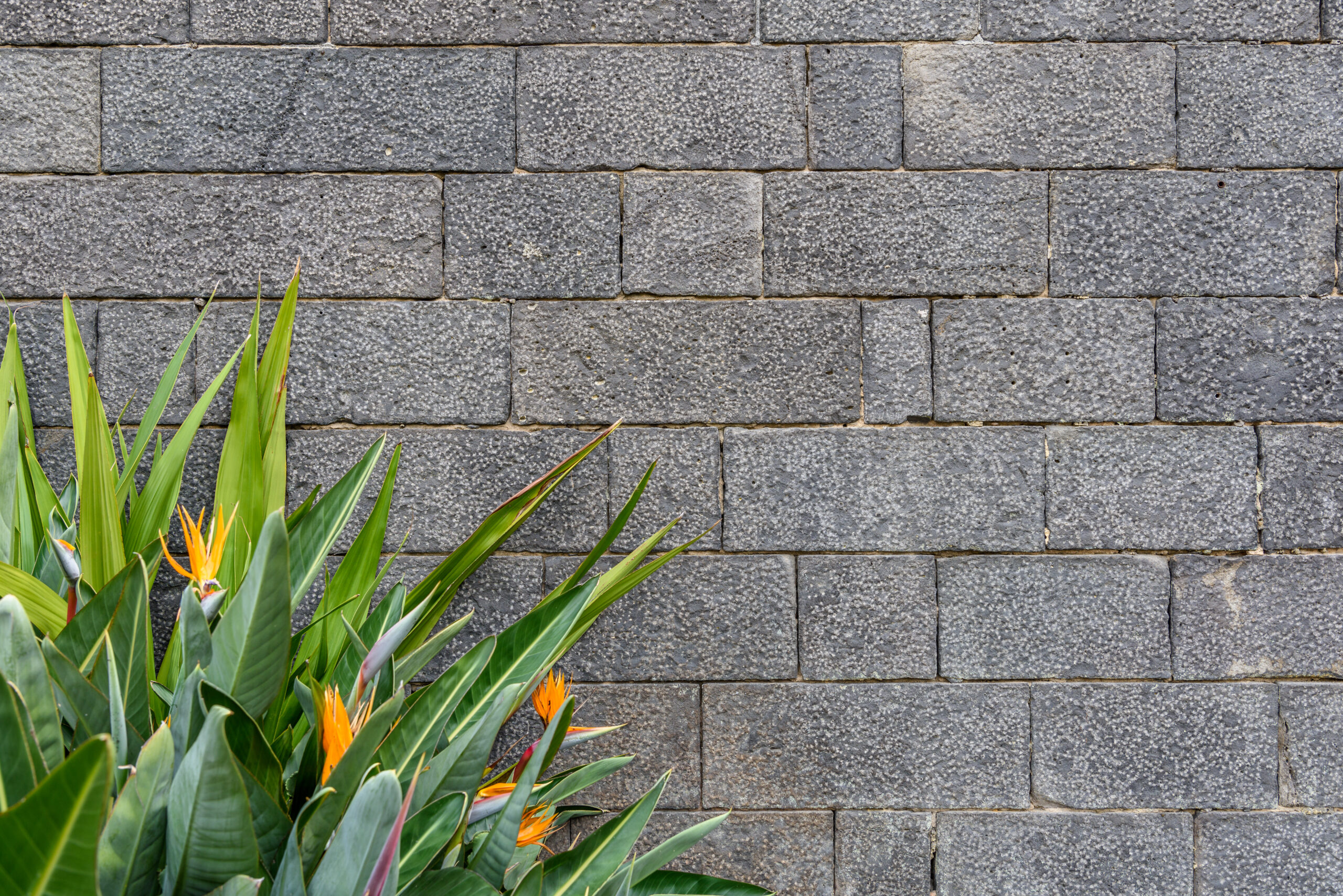 Build a Retaining Wall