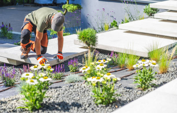 Best Low-Maintenance Landscaping